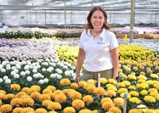 Daphne Hoogeveen, Floritec's Marketing Manager, at the fluff chrysanthemums. Daphne literally worked up a sweat getting the new location all ready for the Flowertrails and with great success. The number of visitors at the new location is very good and they are warmly welcomed and taken care of with a nice cold drink. Also not unimportant these hot days.